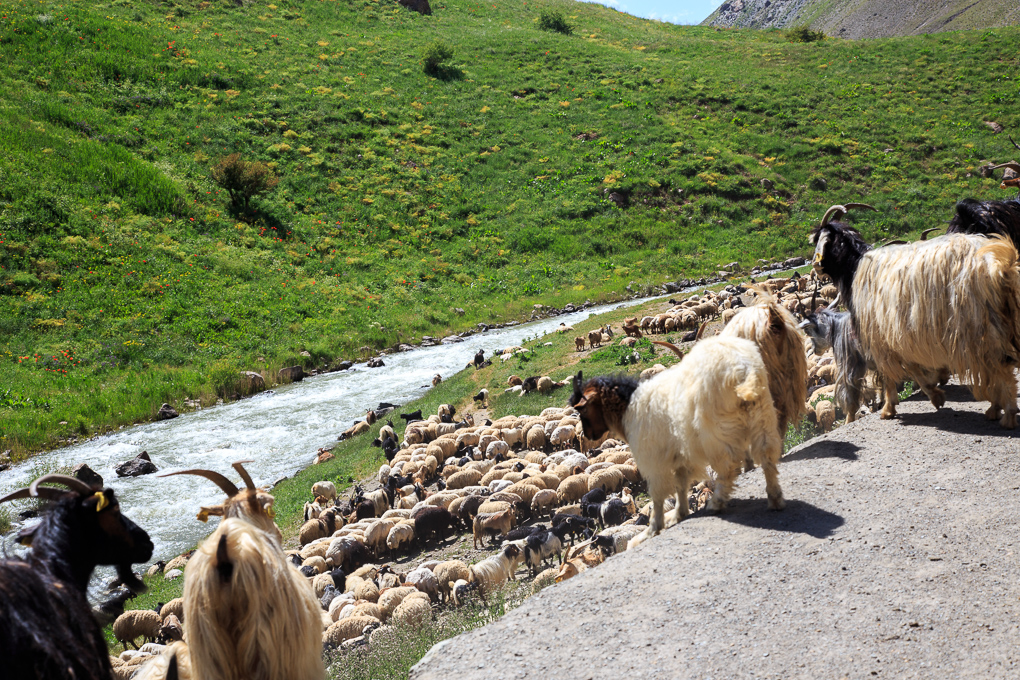 Dereici, Karasu valley